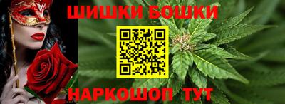 крисы Ставрополь